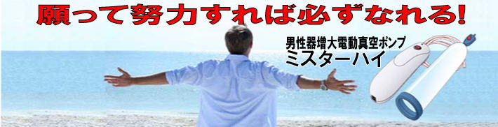 ミスターハイ・イメージ