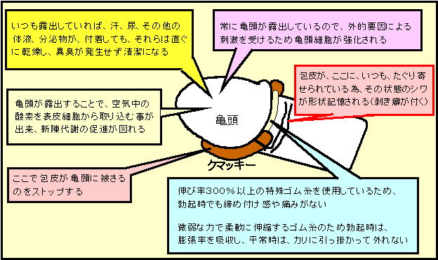 仮性包茎矯正器具「クマッキー」