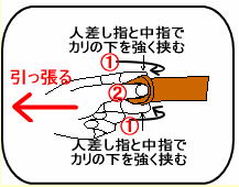 ペニス増大鍛練法