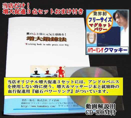 おまけが色々付いています